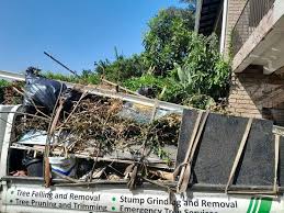 Best Demolition Debris Removal  in Thatcher, AZ